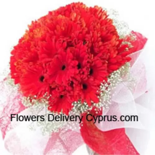 A Beautiful Bunch Of 36 Red Gerberas With Seasonal Fillers